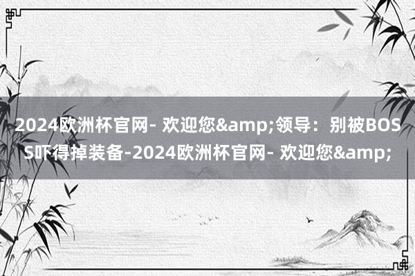 2024欧洲杯官网- 欢迎您&领导：别被BOSS吓得掉装备-2024欧洲杯官网- 欢迎您&