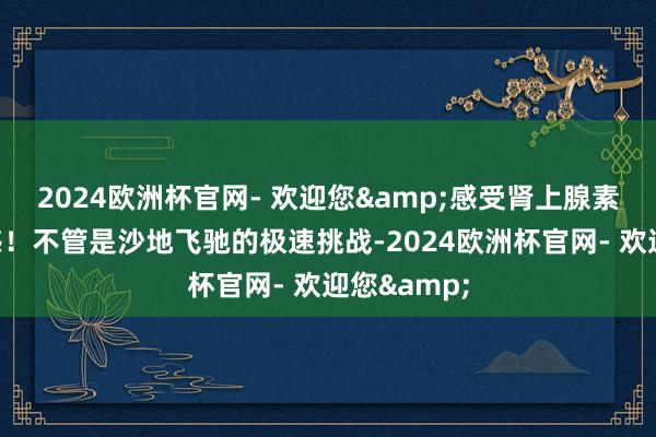 2024欧洲杯官网- 欢迎您&感受肾上腺素飙升的快感！不管是沙地飞驰的极速挑战-2024欧洲杯官网- 欢迎您&