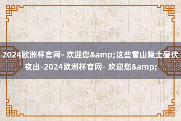 2024欧洲杯官网- 欢迎您&这些雪山隐士昼伏夜出-2024欧洲杯官网- 欢迎您&