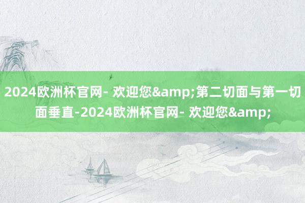 2024欧洲杯官网- 欢迎您&第二切面与第一切面垂直-2024欧洲杯官网- 欢迎您&