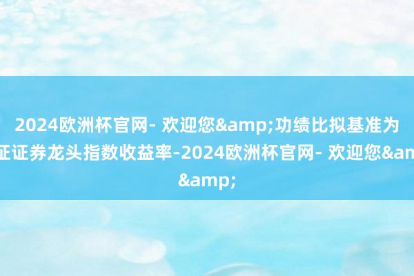 2024欧洲杯官网- 欢迎您&功绩比拟基准为国证证券龙头指数收益率-2024欧洲杯官网- 欢迎您&