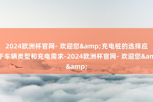 2024欧洲杯官网- 欢迎您&充电桩的选择应基于车辆类型和充电需求-2024欧洲杯官网- 欢迎您&